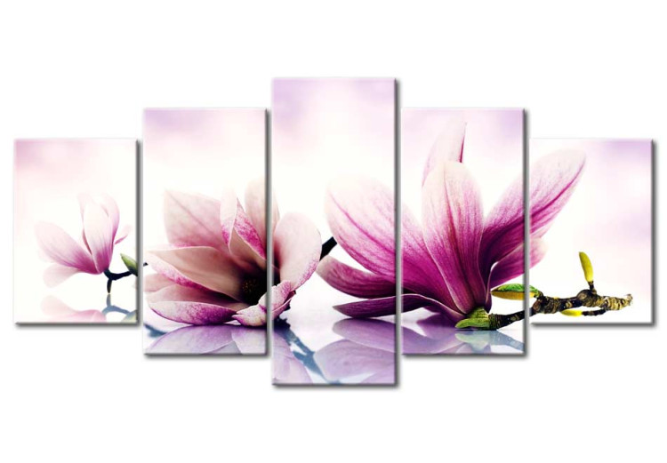 Canvas Pink flowers: magnolias 50067