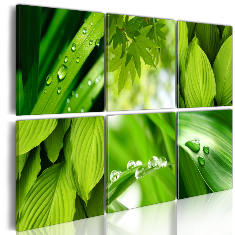 Canvas Art Print Fresh green leaves 50467 additionalImage 2