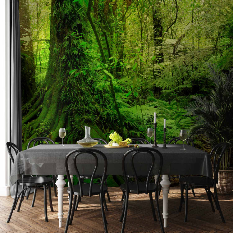 Wall Mural Jungle 60267 additionalImage 6
