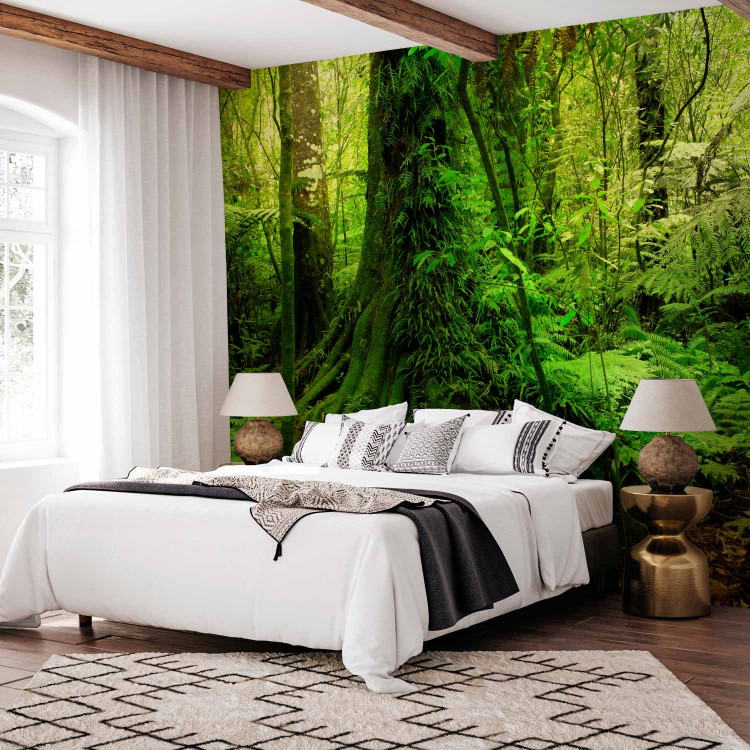 Wall Mural Jungle 60267 additionalImage 2