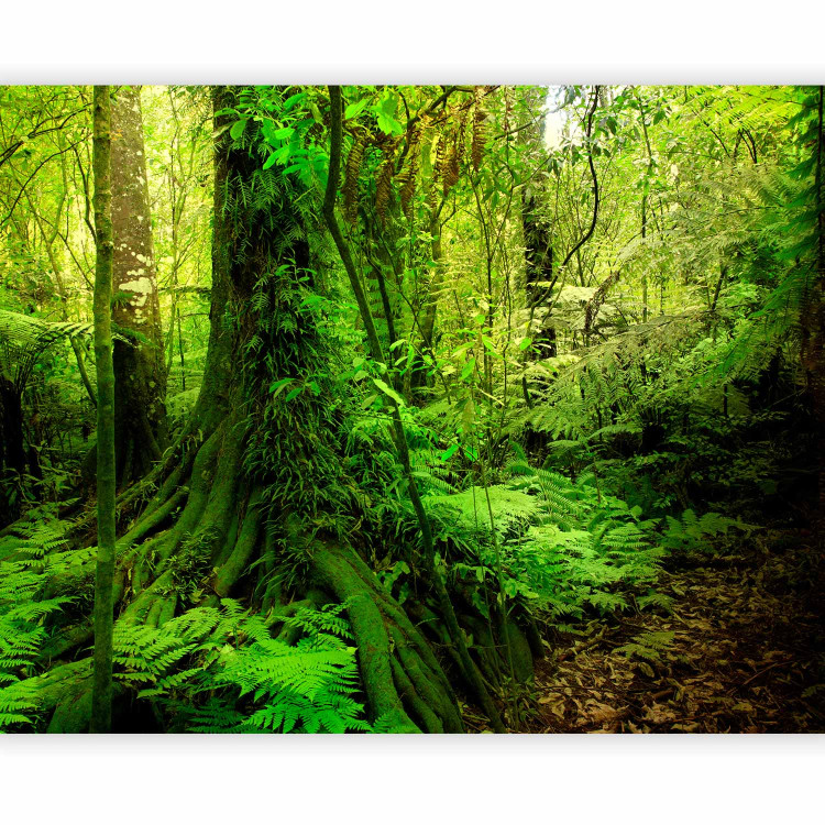 Wall Mural Jungle 60267 additionalImage 5