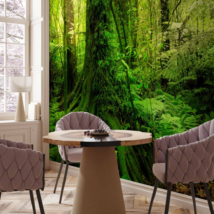 Wall Mural Jungle 60267 additionalImage 4
