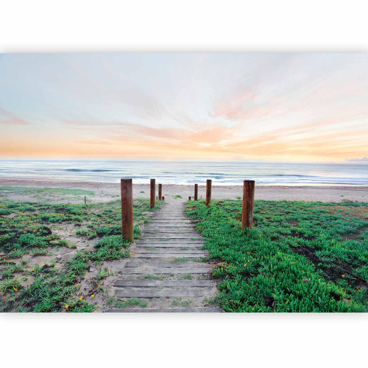 Photo Wallpaper Amidst the Grass - Landscape with a Path Leading to the Beach and Calm Sea 61667 additionalImage 5