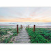 Photo Wallpaper Amidst the Grass - Landscape with a Path Leading to the Beach and Calm Sea 61667 additionalThumb 5