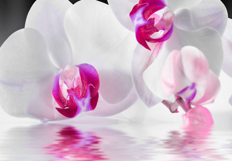 Canvas Art Print Orchids In Water 63967 additionalImage 5