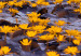 Canvas Flowery river - a landscape full of flowers on the water at sunset 90567 additionalThumb 4