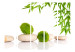 Folding Screen Green Relaxation II - plants with stones in a Zen style on a white background 96067 additionalThumb 3