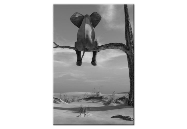 Canvas Print Resting Elephant 97367
