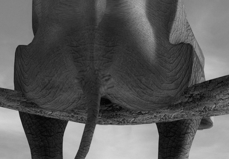 Canvas Print Resting Elephant 97367 additionalImage 5