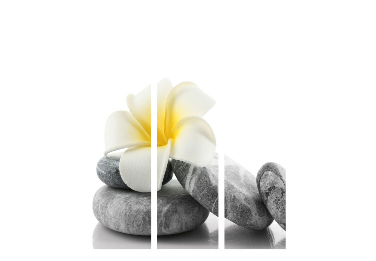 Room Separator White Lotus - white flower on gray stones in oriental style 97967 additionalImage 3