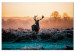 Canvas Frosty Field (1-piece) - Landscape with Deer and Sunset 106077