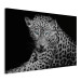 Canvas Leopard Portrait (1 Part) Wide 108177 additionalThumb 2