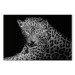 Canvas Leopard Portrait (1 Part) Wide 108177 additionalThumb 7