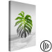 Canvas Art Print Leaf of Monstera (1 Part) Vertical 114077 additionalThumb 6