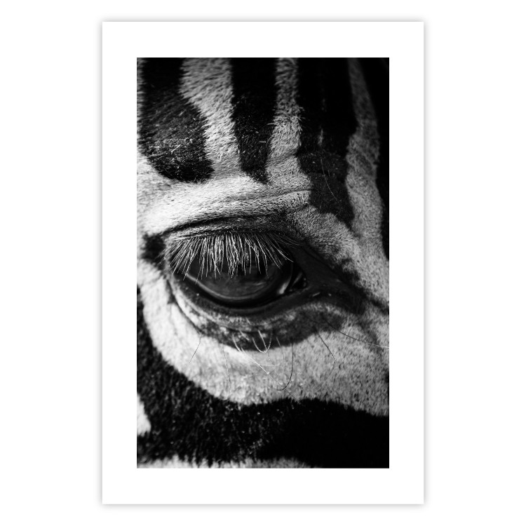 Poster Close-up of a zebra's eye - black and white composition with animal motif 114877 additionalImage 19