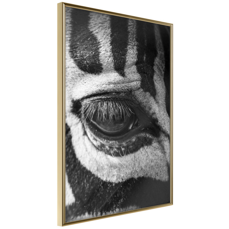 Poster Close-up of a zebra's eye - black and white composition with animal motif 114877 additionalImage 2
