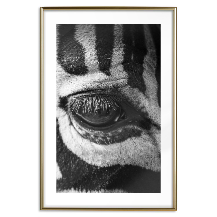 Poster Close-up of a zebra's eye - black and white composition with animal motif 114877 additionalImage 16