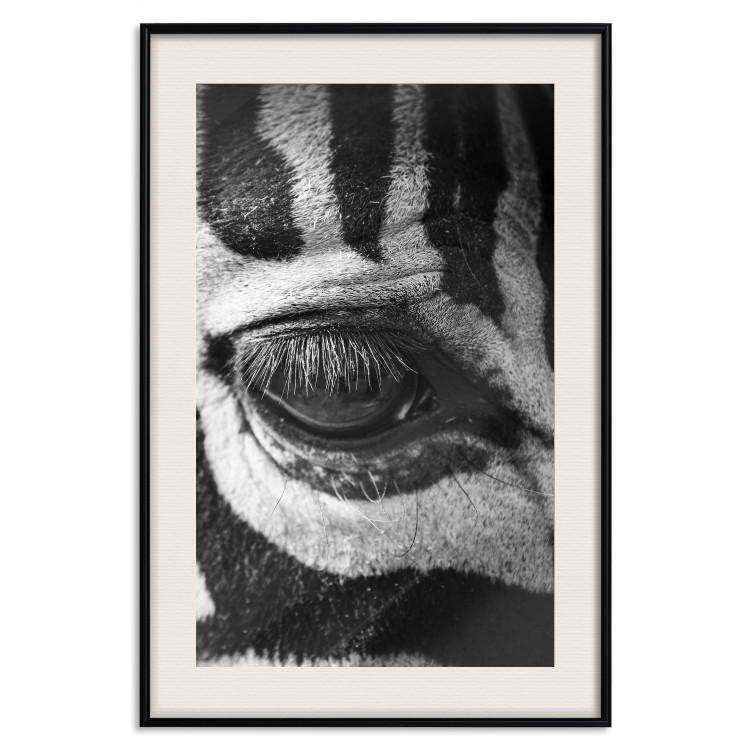 Poster Close-up of a zebra's eye - black and white composition with animal motif 114877 additionalImage 18