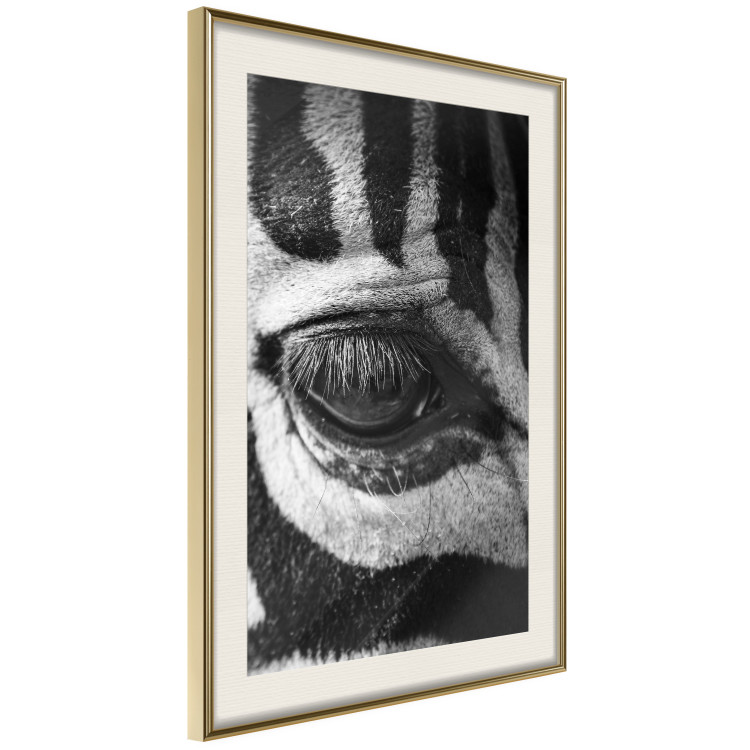 Poster Close-up of a zebra's eye - black and white composition with animal motif 114877 additionalImage 13