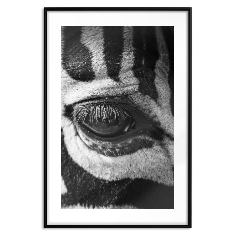 Poster Close-up of a zebra's eye - black and white composition with animal motif 114877 additionalImage 15