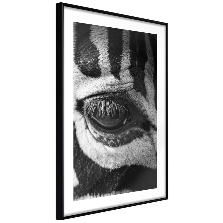 Poster Close-up of a zebra's eye - black and white composition with animal motif 114877 additionalImage 3