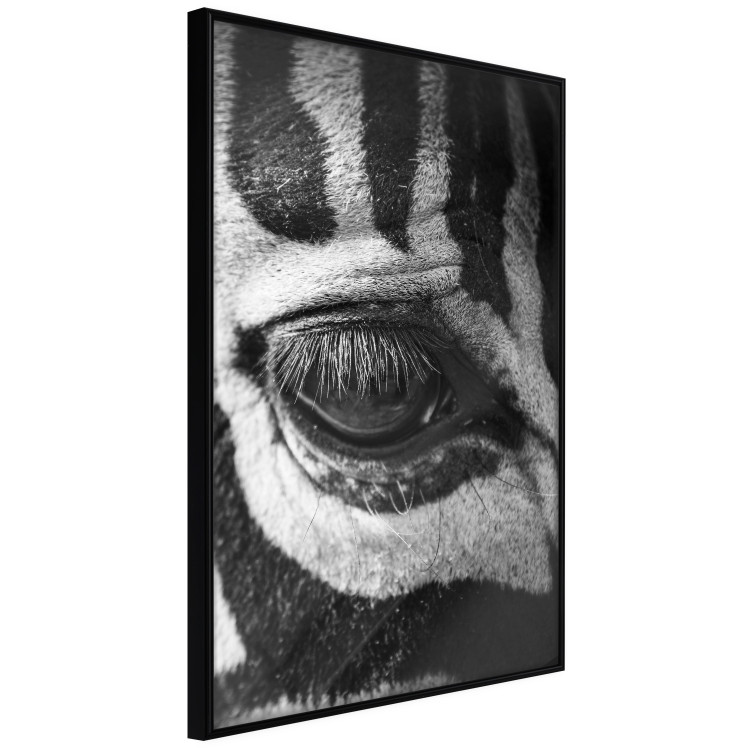 Poster Close-up of a zebra's eye - black and white composition with animal motif 114877 additionalImage 6