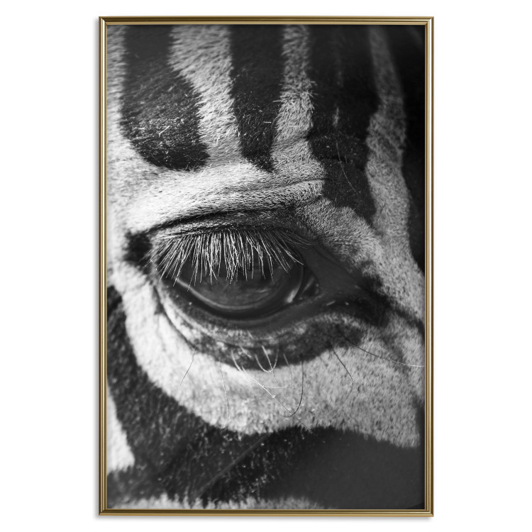 Poster Close-up of a zebra's eye - black and white composition with animal motif 114877 additionalImage 16