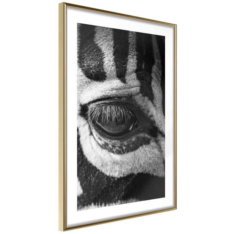 Poster Close-up of a zebra's eye - black and white composition with animal motif 114877 additionalImage 4