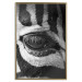 Poster Close-up of a zebra's eye - black and white composition with animal motif 114877 additionalThumb 16