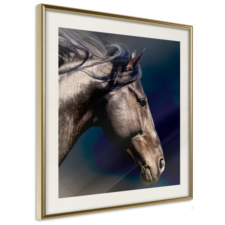 Poster Dappled Majesty - composition with a portrait of a brown horse on a black background 121977 additionalImage 6