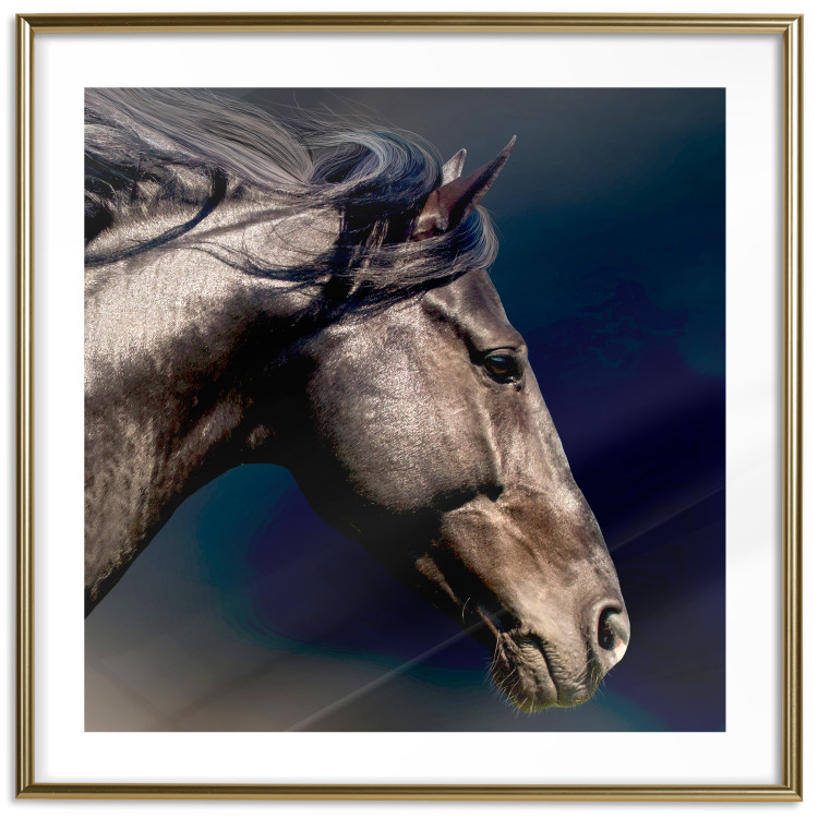 Poster Dappled Majesty - composition with a portrait of a brown horse on a black background 121977 additionalImage 16