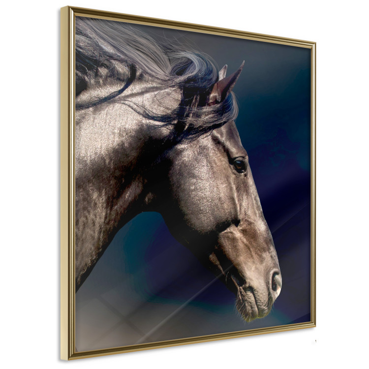 Poster Dappled Majesty - composition with a portrait of a brown horse on a black background 121977 additionalImage 11