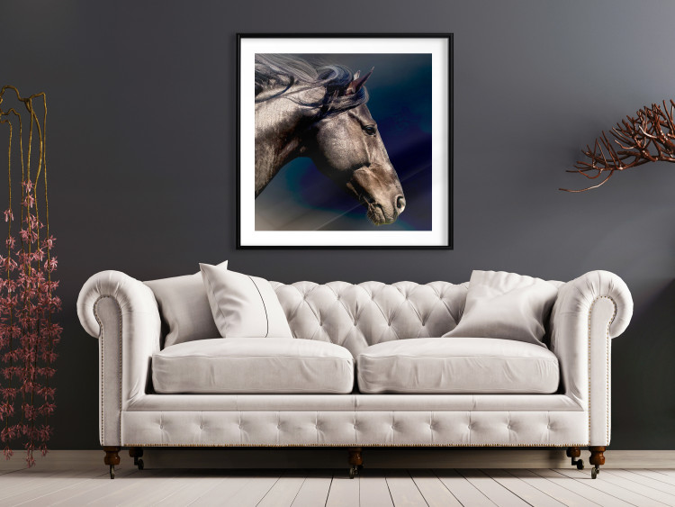 Poster Dappled Majesty - composition with a portrait of a brown horse on a black background 121977 additionalImage 8