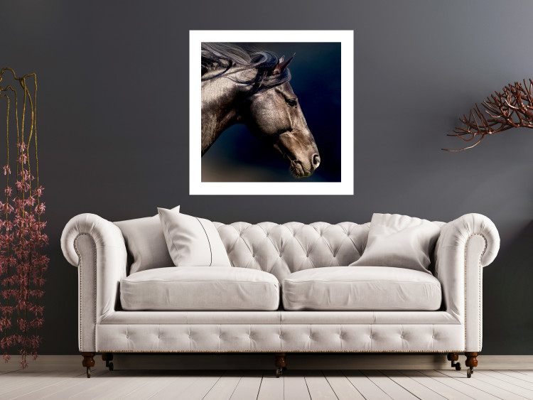 Poster Dappled Majesty - composition with a portrait of a brown horse on a black background 121977 additionalImage 5
