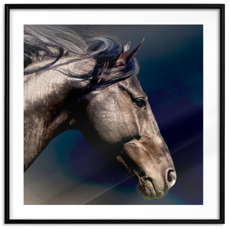 Poster Dappled Majesty - composition with a portrait of a brown horse on a black background 121977 additionalImage 17