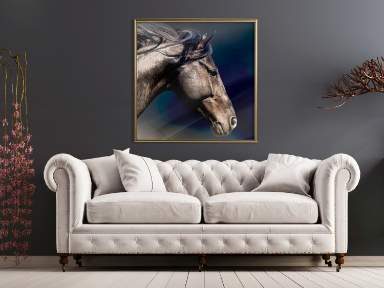 Poster Dappled Majesty - composition with a portrait of a brown horse on a black background 121977 additionalImage 9
