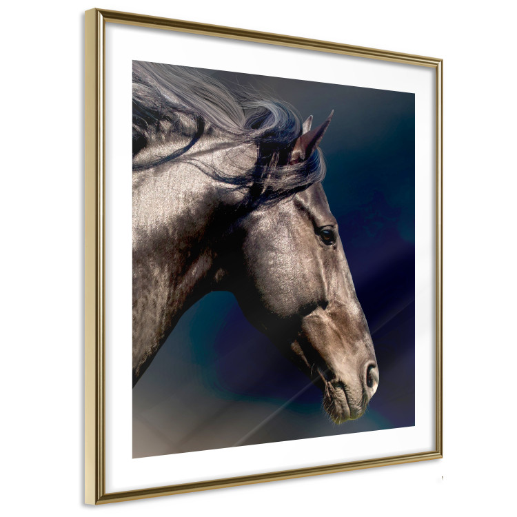 Poster Dappled Majesty - composition with a portrait of a brown horse on a black background 121977 additionalImage 10