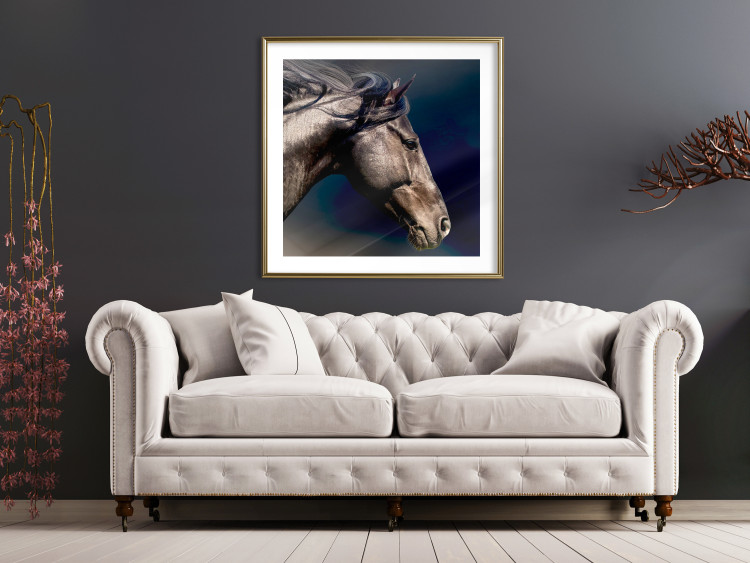 Poster Dappled Majesty - composition with a portrait of a brown horse on a black background 121977 additionalImage 15