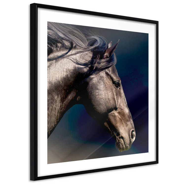 Poster Dappled Majesty - composition with a portrait of a brown horse on a black background 121977 additionalImage 13