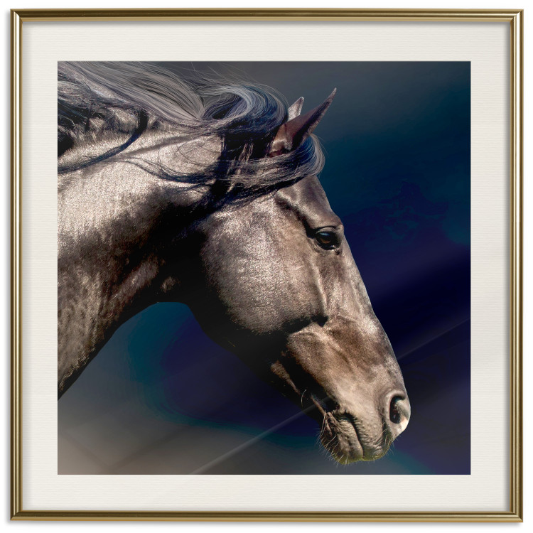 Poster Dappled Majesty - composition with a portrait of a brown horse on a black background 121977 additionalImage 19