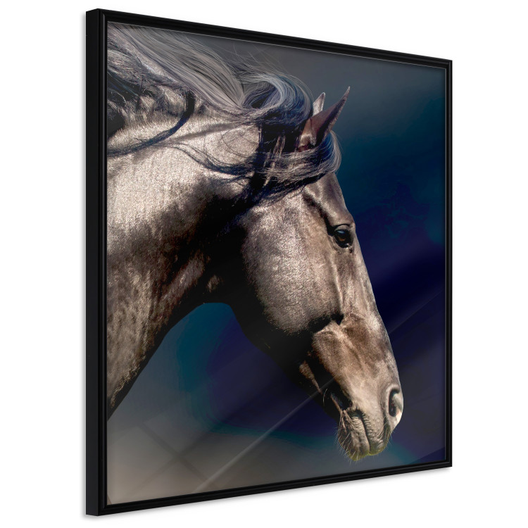 Poster Dappled Majesty - composition with a portrait of a brown horse on a black background 121977 additionalImage 12