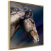 Poster Dappled Majesty - composition with a portrait of a brown horse on a black background 121977 additionalThumb 11