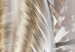 Poster Fallen Angel - abstract composition of white feathers with golden accent 127877 additionalThumb 12