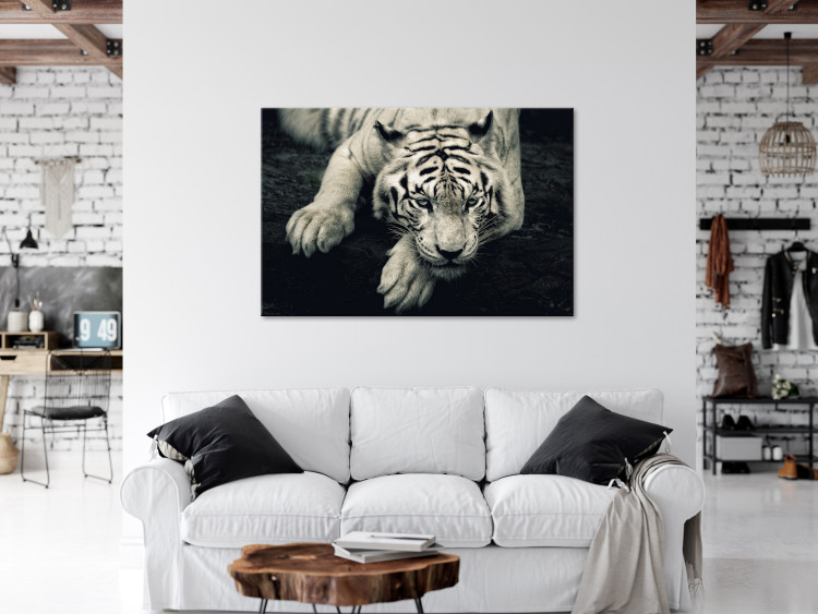 Canvas Print Calm tiger - sepia graphic with a lying tiger on a black background 128777 additionalImage 3