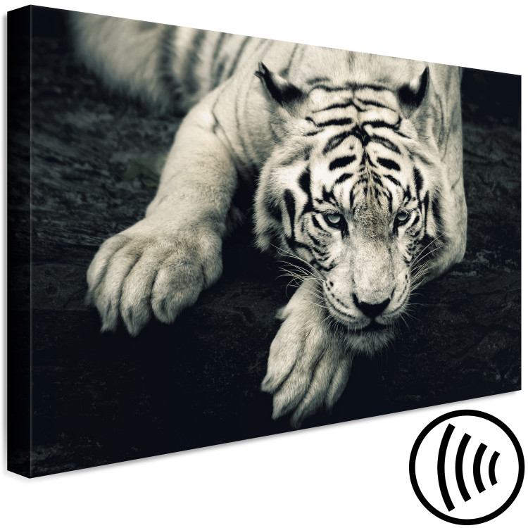 Canvas Print Calm tiger - sepia graphic with a lying tiger on a black background 128777 additionalImage 6