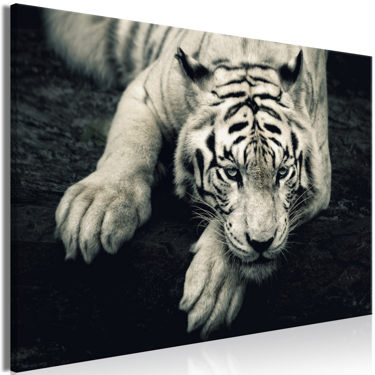 Canvas Print Calm tiger - sepia graphic with a lying tiger on a black background 128777 additionalImage 2