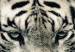 Canvas Print Calm tiger - sepia graphic with a lying tiger on a black background 128777 additionalThumb 4