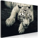 Canvas Print Calm tiger - sepia graphic with a lying tiger on a black background 128777 additionalThumb 2