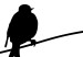 Canvas Bird Chatter (1-part) vertical - black animals on a white background 129577 additionalThumb 5
