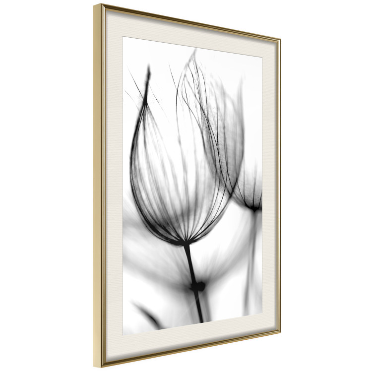 Wall Poster Dandelion in the Wind - black dandelion flower on a contrasting background 129777 additionalImage 3